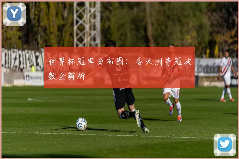 世界杯冠军分布图：各大洲夺冠次数全解析
