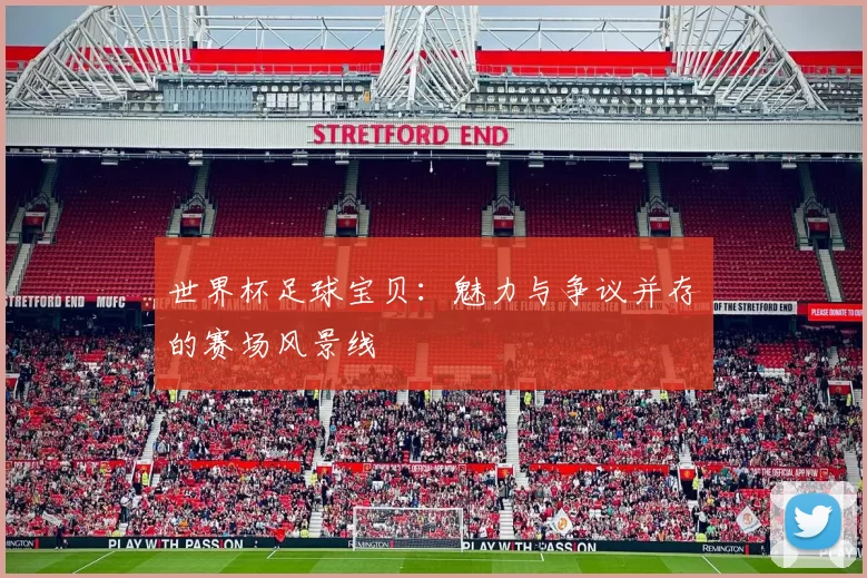 世界杯足球宝贝:魅力与争议并存的赛场风景线