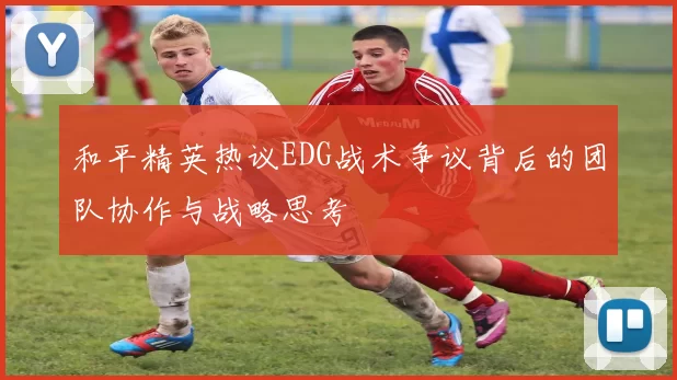 和平精英热议EDG战术争议背后的团队协作与战略思考