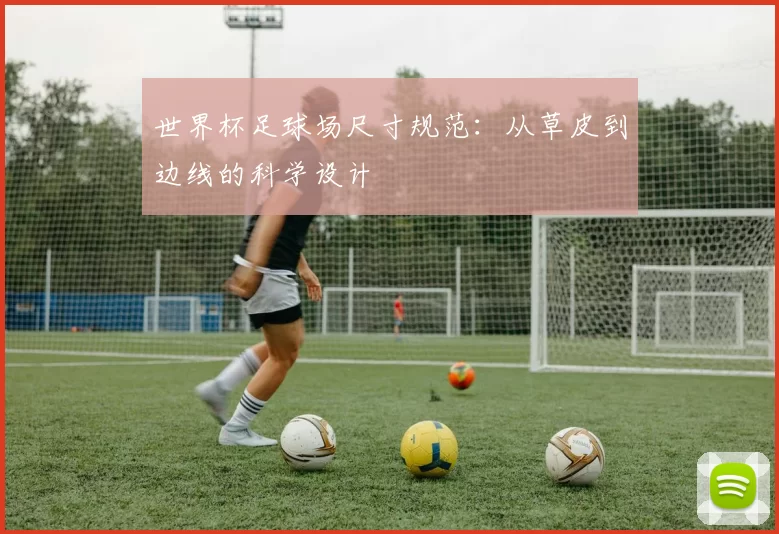 世界杯足球场尺寸规范：从草皮到边线的科学设计