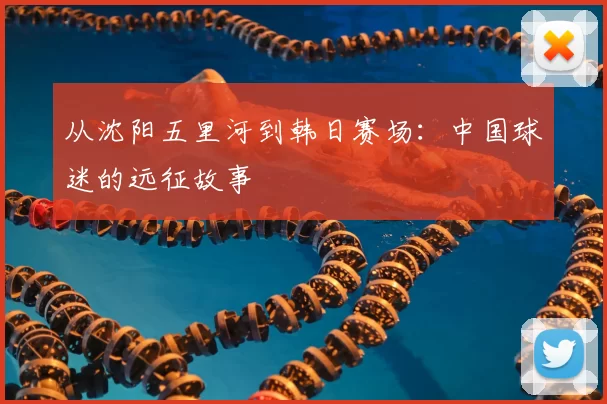 从沈阳五里河到韩日赛场：中国球迷的远征故事