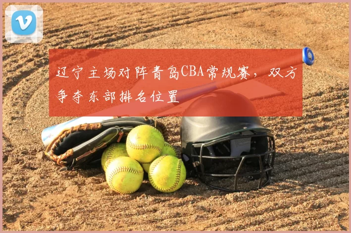 辽宁主场对阵青岛CBA常规赛，双方争夺东部排名位置