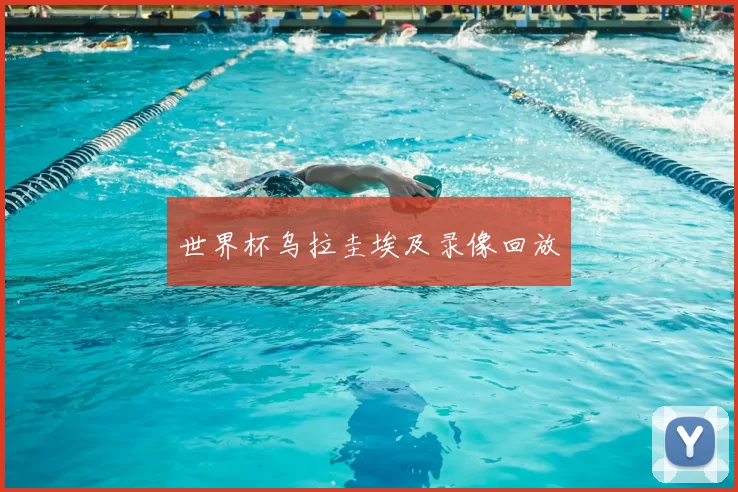 世界杯乌拉圭埃及录像回放