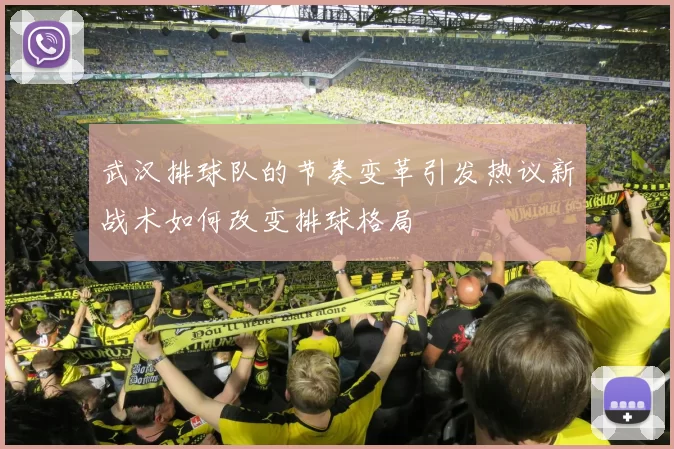 武汉排球队的节奏变革引发热议新战术如何改变排球格局