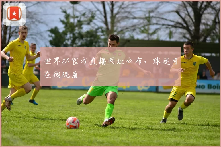 世界杯官方直播网址公布，球迷可在线观看