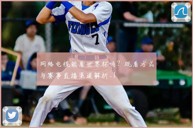 网络电视能看世界杯吗?观看方式与赛事直播渠道解析_1