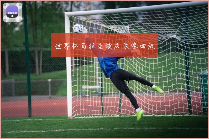 世界杯乌拉圭埃及录像回放