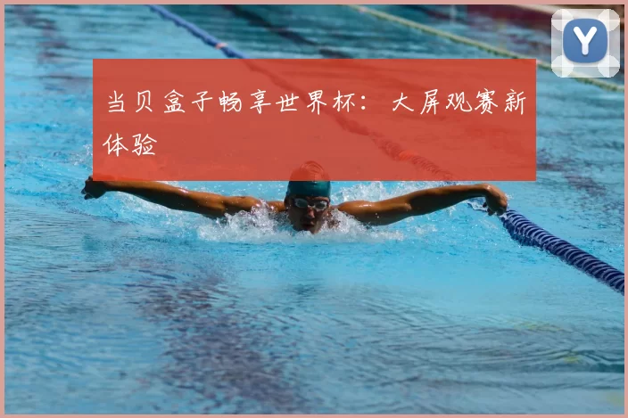 当贝盒子畅享世界杯：大屏观赛新体验