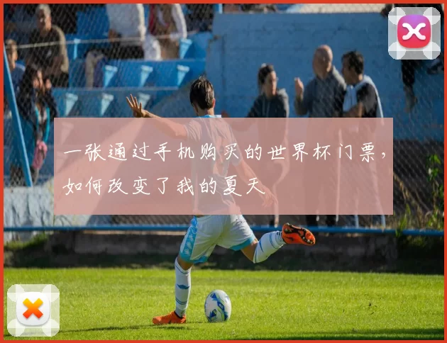 一张通过手机购买的世界杯门票，如何改变了我的夏天
