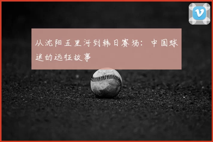 从沈阳五里河到韩日赛场：中国球迷的远征故事