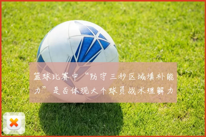 篮球比赛中“防守三秒区域填补能力”是否体现大个球员战术理解力