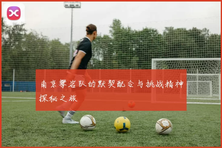 南京攀岩队的默契配合与挑战精神探秘之旅
