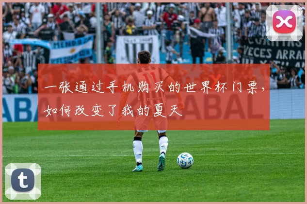 一张通过手机购买的世界杯门票,如何改变了我的夏天