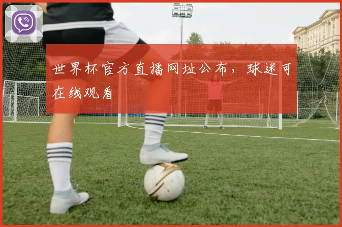 世界杯官方直播网址公布,球迷可在线观看