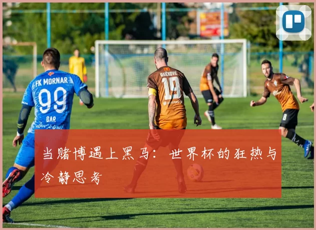 当赌博遇上黑马:世界杯的狂热与冷静思考