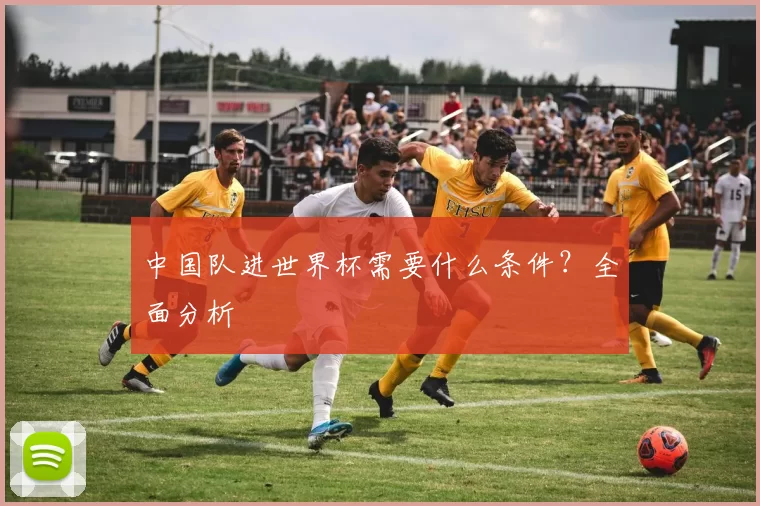 中国队进世界杯需要什么条件？全面分析