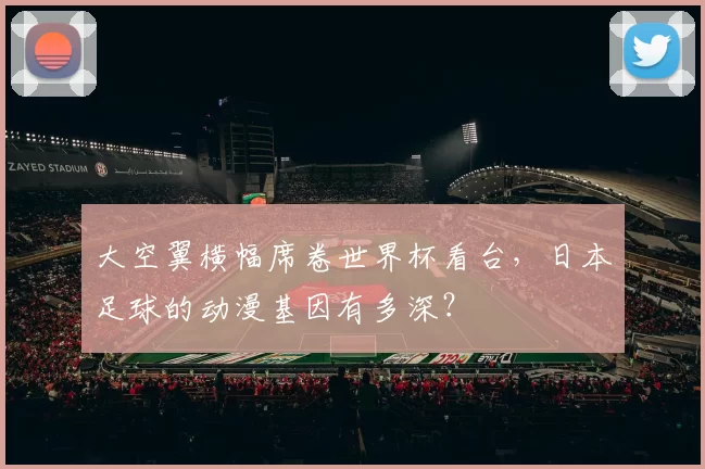 大空翼横幅席卷世界杯看台，日本足球的动漫基因有多深？