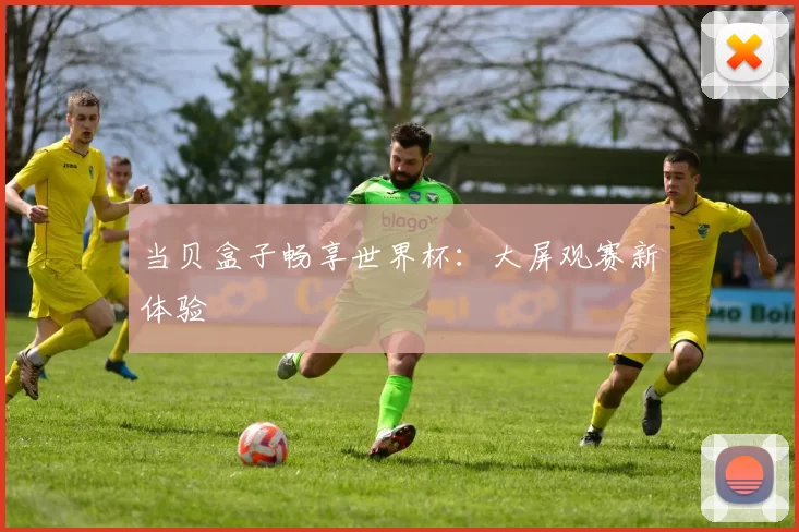 当贝盒子畅享世界杯：大屏观赛新体验
