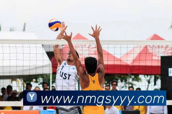 App Interface Preview