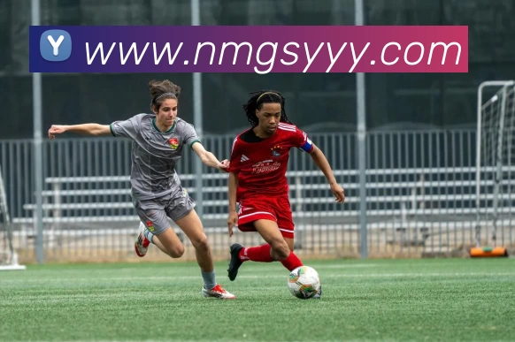 买球官网APP 封面图